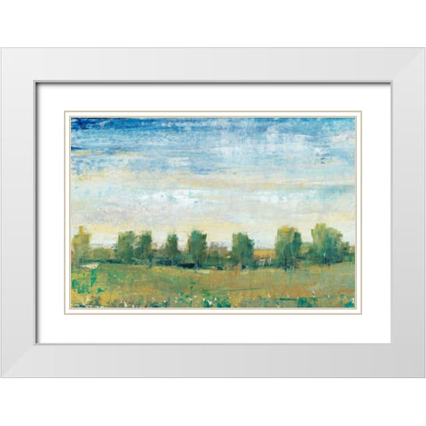 Splendor in Spring II White Modern Wood Framed Art Print with Double Matting by OToole, Tim
