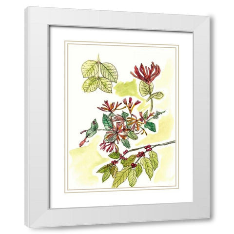 Floral Field Notes IV White Modern Wood Framed Art Print with Double Matting by Wang, Melissa