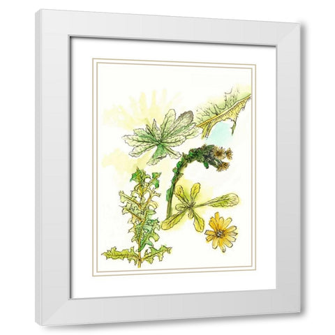 Floral Field Notes V White Modern Wood Framed Art Print with Double Matting by Wang, Melissa