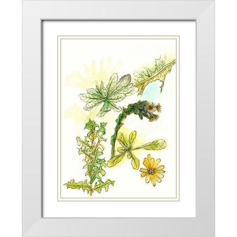 Floral Field Notes V White Modern Wood Framed Art Print with Double Matting by Wang, Melissa