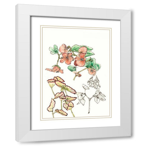 Begonia Study White Modern Wood Framed Art Print with Double Matting by Wang, Melissa