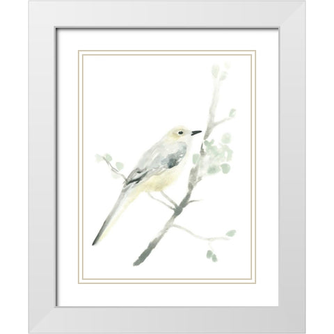 Avian Impressions II White Modern Wood Framed Art Print with Double Matting by Vess, June Erica