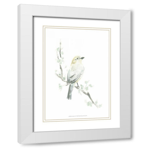 Avian Impressions IV White Modern Wood Framed Art Print with Double Matting by Vess, June Erica