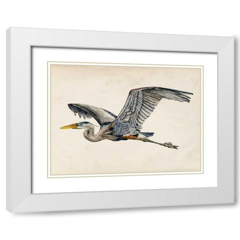 Blue Heron Rendering III White Modern Wood Framed Art Print with Double Matting by Wang, Melissa