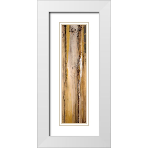Analogous I White Modern Wood Framed Art Print with Double Matting by Taylor, Kari