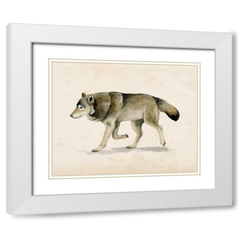 Wandering III White Modern Wood Framed Art Print with Double Matting by Popp, Grace