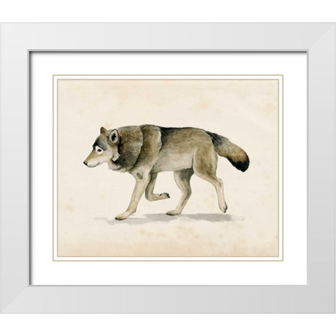 Wandering III White Modern Wood Framed Art Print with Double Matting by Popp, Grace