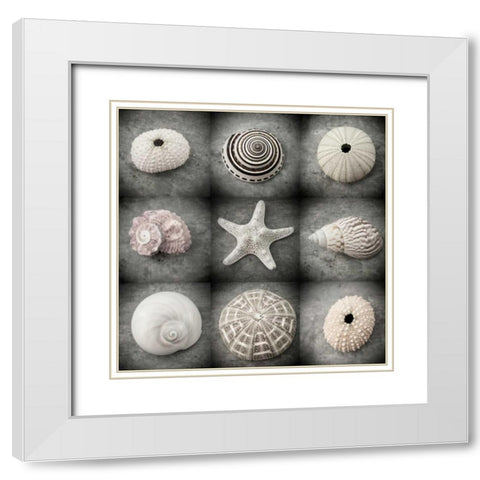 Dark Beauties White Modern Wood Framed Art Print with Double Matting by Stalus, Judy