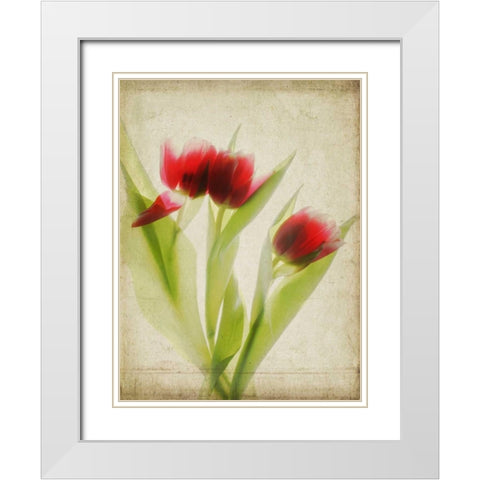 Parchment Flowers I White Modern Wood Framed Art Print with Double Matting by Stalus, Judy