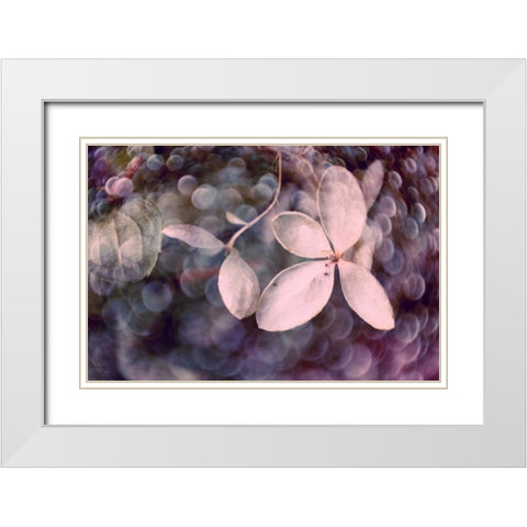 Purple Hydrangea White Modern Wood Framed Art Print with Double Matting by Stalus, Judy