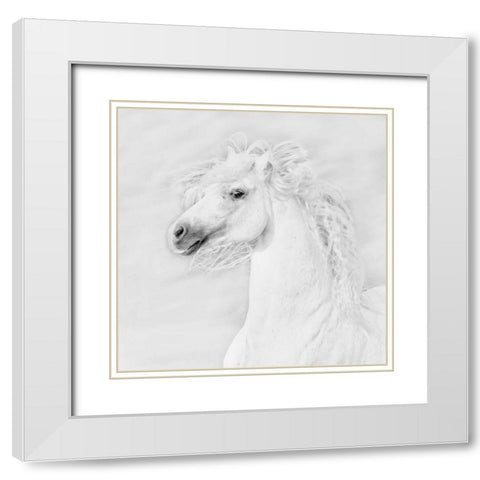 BandW Horses III White Modern Wood Framed Art Print with Double Matting by PHBurchett