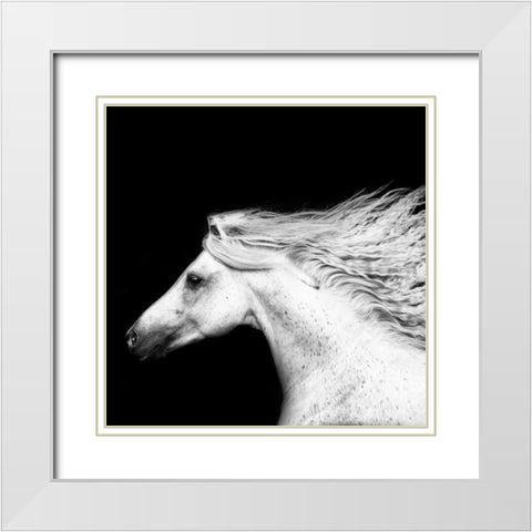 BandW Horses V White Modern Wood Framed Art Print with Double Matting by PHBurchett