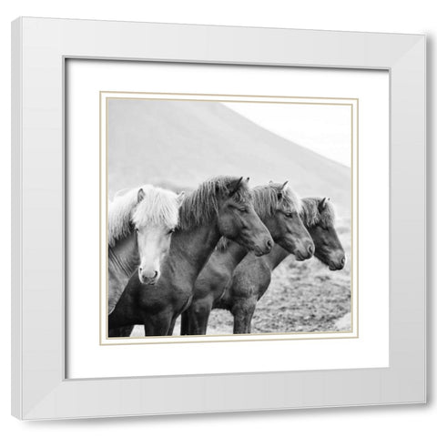 BandW Horses IX White Modern Wood Framed Art Print with Double Matting by PHBurchett