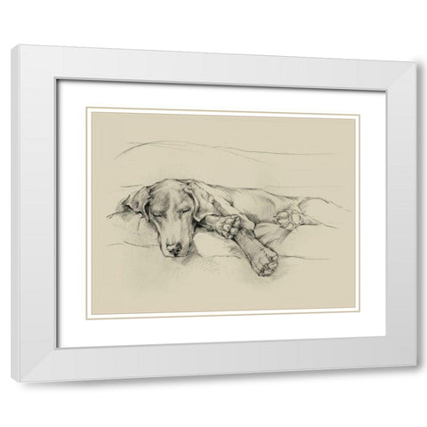 Dog Days II White Modern Wood Framed Art Print with Double Matting by Harper, Ethan