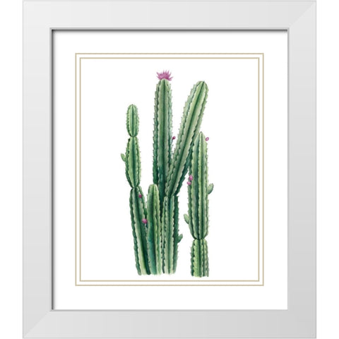Desert Blooms II White Modern Wood Framed Art Print with Double Matting by Popp, Grace