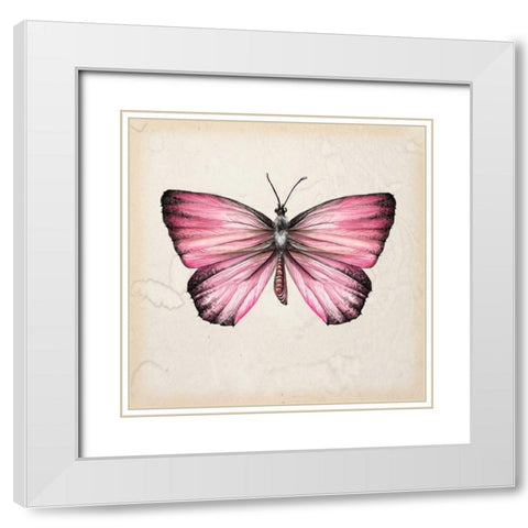 Butterfly Study IV White Modern Wood Framed Art Print with Double Matting by Wang, Melissa