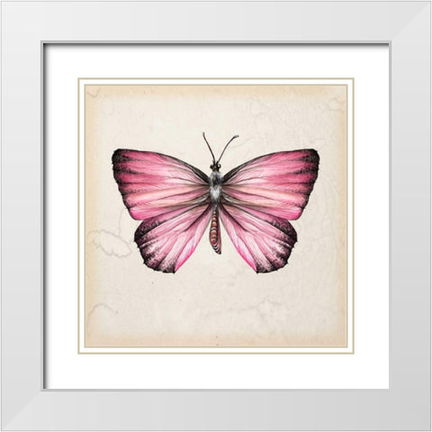 Butterfly Study IV White Modern Wood Framed Art Print with Double Matting by Wang, Melissa