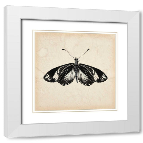 Butterfly Study VI White Modern Wood Framed Art Print with Double Matting by Wang, Melissa