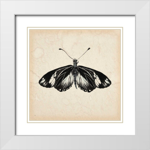 Butterfly Study VI White Modern Wood Framed Art Print with Double Matting by Wang, Melissa