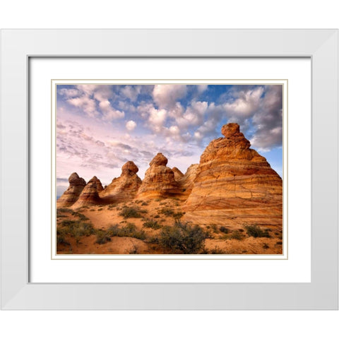 Arizona Peaks I White Modern Wood Framed Art Print with Double Matting by Drost, David