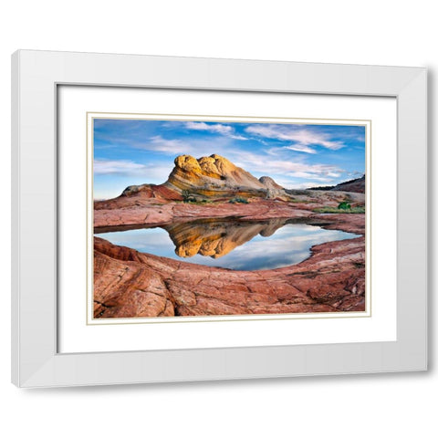 Arizona Reflection II White Modern Wood Framed Art Print with Double Matting by Drost, David