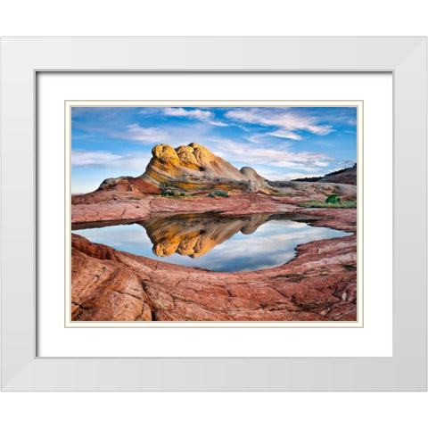 Arizona Reflection II White Modern Wood Framed Art Print with Double Matting by Drost, David