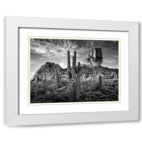 BandW Desert View I White Modern Wood Framed Art Print with Double Matting by Drost, David