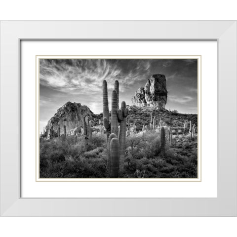BandW Desert View I White Modern Wood Framed Art Print with Double Matting by Drost, David