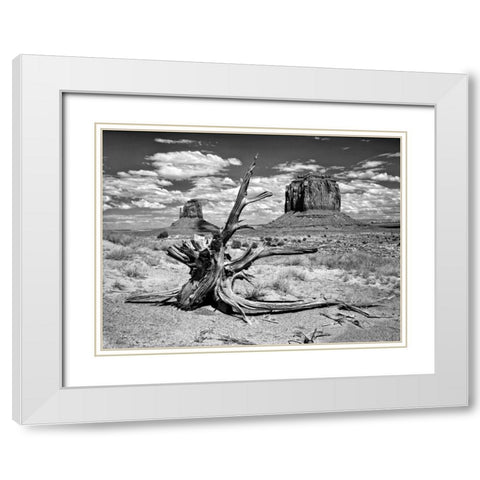 BandW Desert View V White Modern Wood Framed Art Print with Double Matting by Drost, David