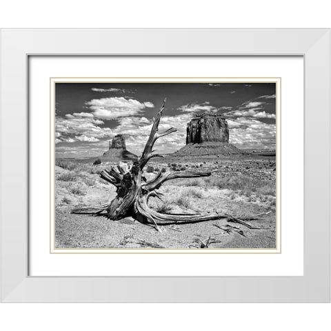 BandW Desert View V White Modern Wood Framed Art Print with Double Matting by Drost, David