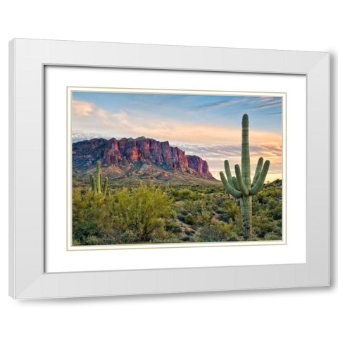 Cacti View II White Modern Wood Framed Art Print with Double Matting by Drost, David