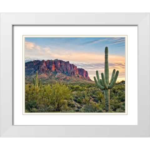 Cacti View II White Modern Wood Framed Art Print with Double Matting by Drost, David