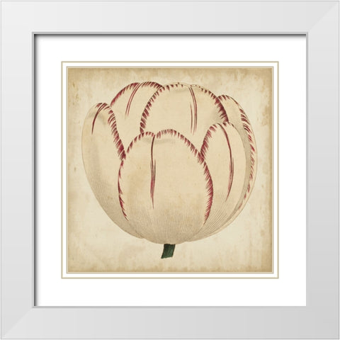 Custom Pop Floral II White Modern Wood Framed Art Print with Double Matting by Vision Studio
