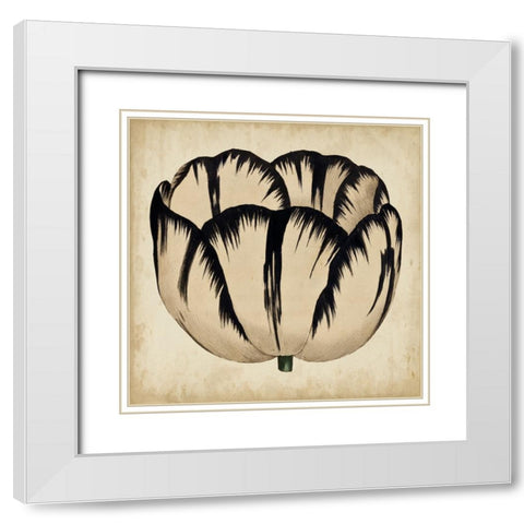 Custom Pop Floral III White Modern Wood Framed Art Print with Double Matting by Vision Studio