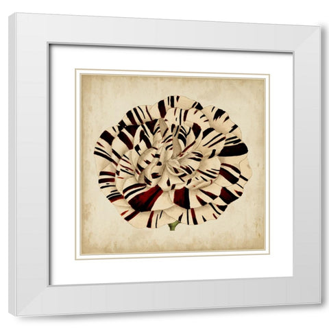 Custom Pop Floral V White Modern Wood Framed Art Print with Double Matting by Vision Studio