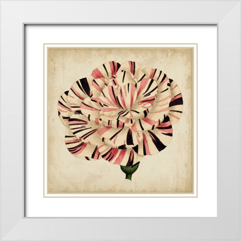 Custom Pop Floral VI White Modern Wood Framed Art Print with Double Matting by Vision Studio