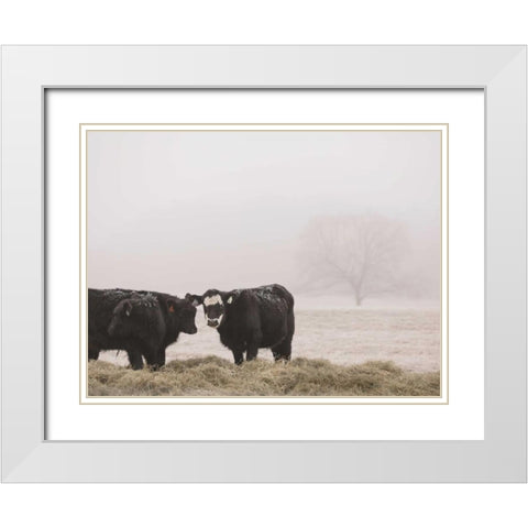 Farm Study I White Modern Wood Framed Art Print with Double Matting by Mead, Adam