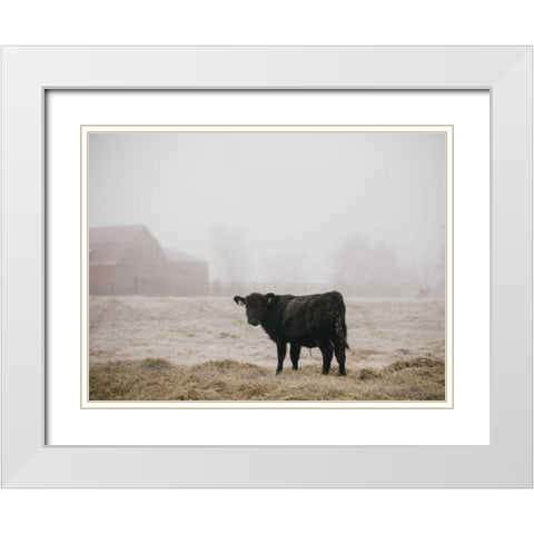Farm Study II White Modern Wood Framed Art Print with Double Matting by Mead, Adam