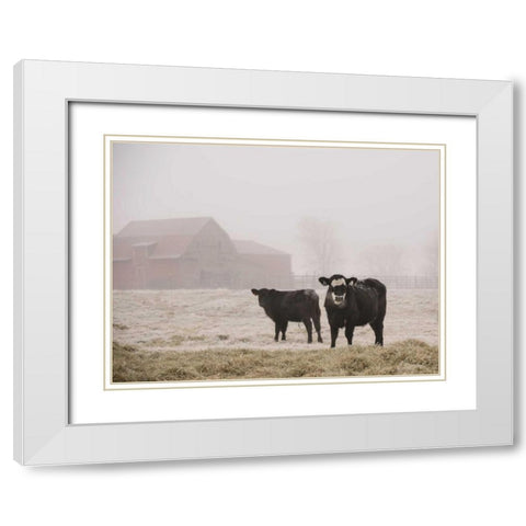Farm Study III White Modern Wood Framed Art Print with Double Matting by Mead, Adam