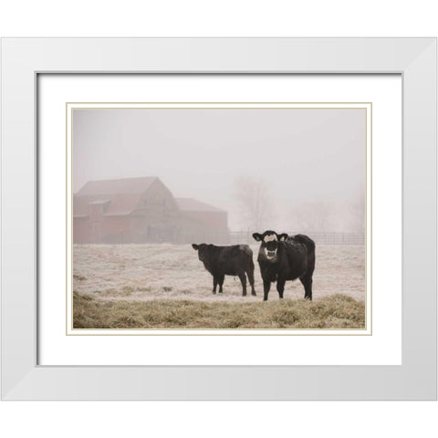 Farm Study III White Modern Wood Framed Art Print with Double Matting by Mead, Adam
