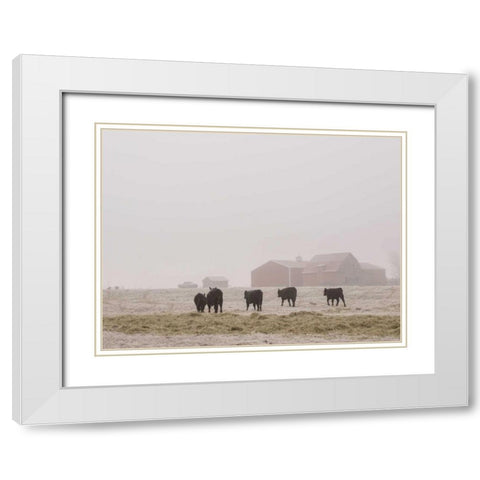 Farm Study IV White Modern Wood Framed Art Print with Double Matting by Mead, Adam