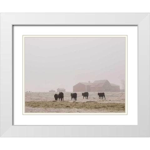 Farm Study IV White Modern Wood Framed Art Print with Double Matting by Mead, Adam