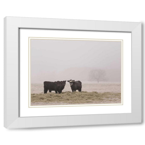 Farm Study V White Modern Wood Framed Art Print with Double Matting by Mead, Adam
