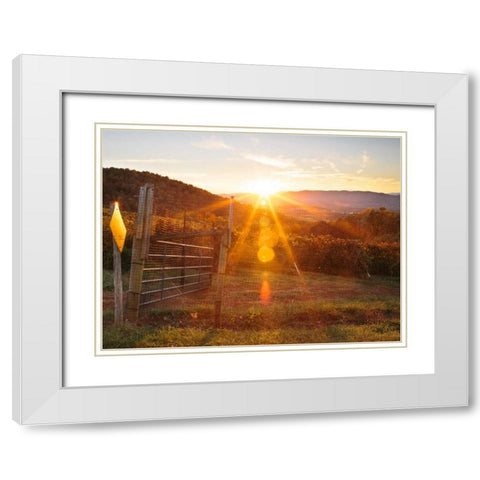 Farm Study VII White Modern Wood Framed Art Print with Double Matting by Mead, Adam