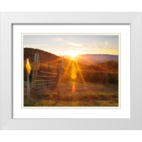 Farm Study VII White Modern Wood Framed Art Print with Double Matting by Mead, Adam