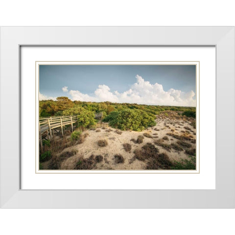 First Landing Dunes I White Modern Wood Framed Art Print with Double Matting by Mead, Adam