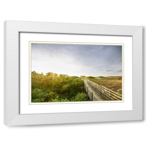 First Landing Dunes II White Modern Wood Framed Art Print with Double Matting by Mead, Adam