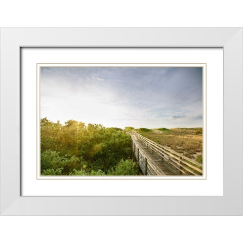 First Landing Dunes II White Modern Wood Framed Art Print with Double Matting by Mead, Adam