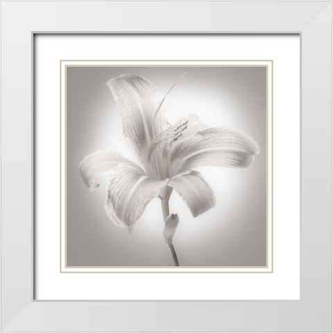 Tiger Lily I White Modern Wood Framed Art Print with Double Matting by McLoughlin, James