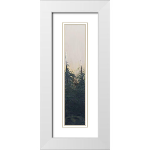 Pacific Northwest Panel VI White Modern Wood Framed Art Print with Double Matting by Iafrate, Sandra